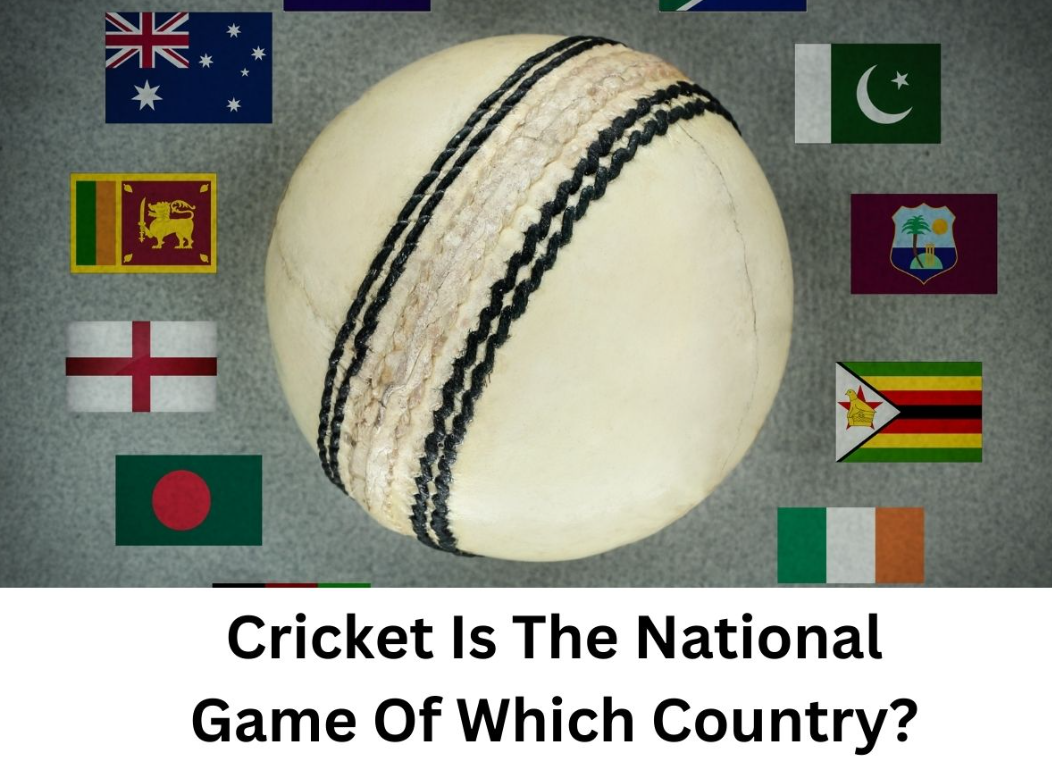 All About Cricket and Culture